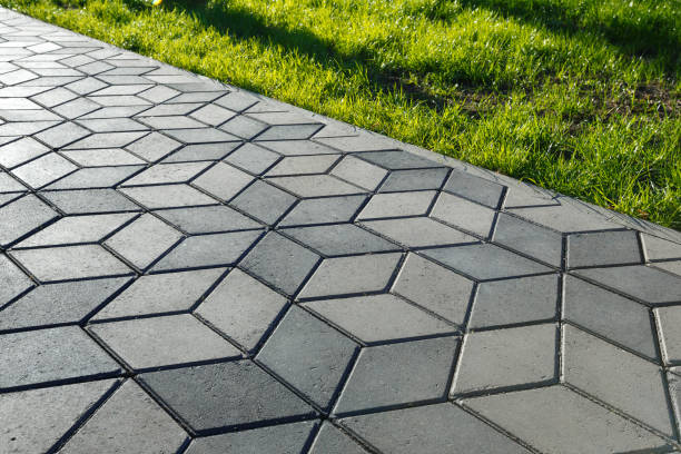 Best Driveway Paving Near Me  in Ladysmith, WI